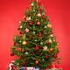 Decorated Christmas tree on red with presents under it... (thumbnail)