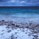 Shore of Georgian Bay in Winter... (thumbnail)