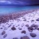 Wintertime landscape scenery of Georgian Bay shore line... (thumbnail)