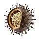 Flu virus Influenza A particle structure showing DNA RNA inside... (thumbnail)