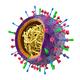 Colored flu virus Influenza A particle showing its structure... (thumbnail)