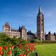 The Parliament Building during tulip festival in Ottawa Canada... (thumbnail)