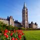 Red tulips in front of The Parliament Building in Ottawa Canada... (thumbnail)