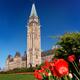 The Parliament Building during tulip festival in Ottawa... (thumbnail)