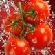 Fressh juicy tomatoes in a splash of water... (thumbnail)
