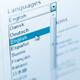 Ecommerce web site languaqge selection menu... (thumbnail)