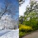 Winter and Summer... (thumbnail)