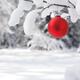 Red Christmas ornament on snow covered tree... (thumbnail)