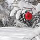 Red Christmas ornament on snow covered tree in forest... (thumbnail)