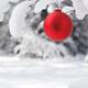 Red Christmas ornament on snow covered tree branch... (thumbnail)