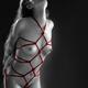Beautiful Nude Asian Woman Tied with Rope Bondage Shibari... (thumbnail)