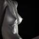 Nude Woman Shiny Metallic Body... (thumbnail)