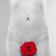 Black and white naked woman body with red rose... (thumbnail)