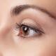 Woman brown eye closeup... (thumbnail)