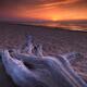 Driftwood on a shore of lake Huron sunset scenery... (thumbnail)