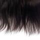 Dark brown hair isolated on white background... (thumbnail)