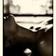 Sensual closeup of young woman making love in front of fireplace... (thumbnail)