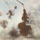 Frozen oak leaf abstract nature detail... (thumbnail)