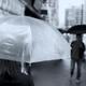 People with umbrellas on street in rain... (thumbnail)