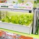 Green Farm home hydroponic gardening unit... (thumbnail)