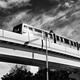 Yurikamome train on elevated railway in Odaiba Tokyo Black and white... (thumbnail)