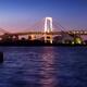 Beautiful panoramic scenery of the Rainbow bridge in Tokyo at night... (thumbnail)