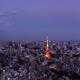 Panoramic twilight scenery of Tokyo tower and cityscape... (thumbnail)