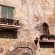 Windows of an old rustic house... (thumbnail)