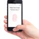 Person thumb on iPhone fingerprint sensor... (thumbnail)
