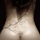 Nude woman back with cherry blossom design... (thumbnail)
