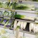 Vegetables in grocery store... (thumbnail)