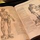 Vesalius De Humani Corporis Fabrica anatomy book... (thumbnail)