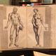 Vesalius De Humani Corporis Fabrica anatomy book in a library... (thumbnail)