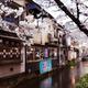 Kiyamachi street Takase river cherry blossom in Kyoto... (thumbnail)