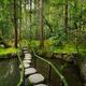Japanese Zen garden with stepping stones... (thumbnail)