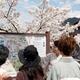 People reading sightseeing map in Kyoto Japan... (thumbnail)