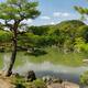 Pine trees at Japanese garden with pond in Kyoto... (thumbnail)