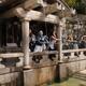 Young women at Otowa-no-taki waterfall at Kiyomizudera Kyoto... (thumbnail)