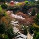 Kiyomizu-dera Buddhist temple pagoda in Kyoto Japan... (thumbnail)