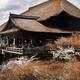 Otowa-san Kiyomizu-dera Buddhist temple in Kyoto Japan... (thumbnail)