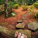 Geta shoes in Japanese garden... (thumbnail)