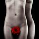 Two nude woman bodies with red rose gay love concept... (thumbnail)