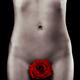 Nude Woman Body with a Red Rose... (thumbnail)