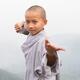 Young Shaolin monk in Kung Fu stance at mount Song in China... (thumbnail)