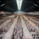 Museum of Qin Terracotta Warriors and Horses in Xi'an... (thumbnail)