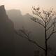 Tree silhouette against mountan landscape... (thumbnail)