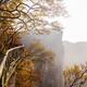 Walkway at Tianmen Mountain National Park Zhangjiajie... (thumbnail)