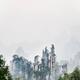 Mountain peaks in fog Zhangjiajie National Forest Park... (thumbnail)