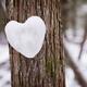 Heart made of snow on a tree... (thumbnail)