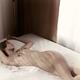 Artistic photo of a young woman sleeping naked in bed... (thumbnail)